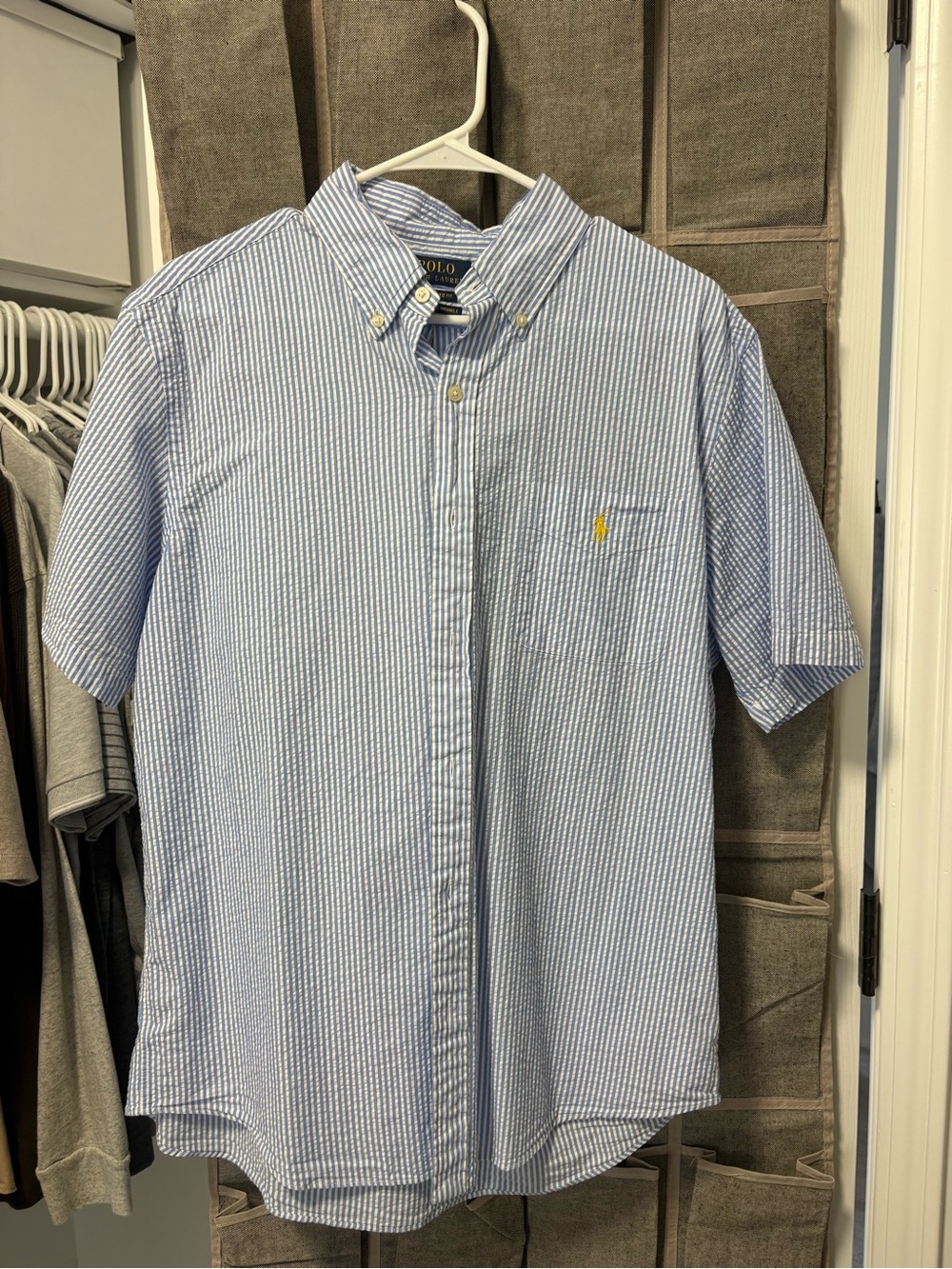 Ralph Lauren Blue and White Striped Short-Sleeve Button-Down Shirt